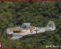 TSR Watermark - 0514
